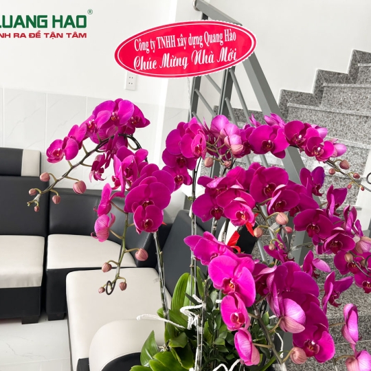BÀN GIAO NHÀ ANH SƠN TẠI HUYỆN BÌNH CHÁNH